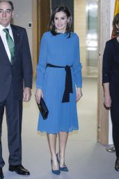 Queen Letizia of Spain - Scholarships for the Masters and Research Grants of the Iberdrola Foundation in Madrid 01/31/2019