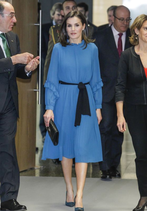 Queen Letizia of Spain - Scholarships for the Masters and Research ...