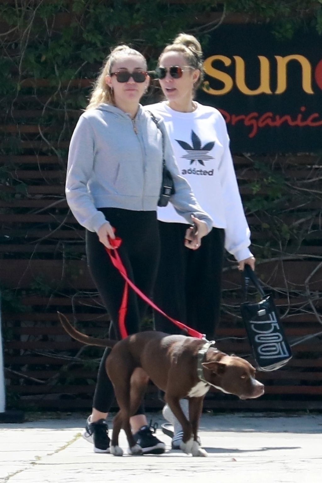 https://celebmafia.com/wp-content/uploads/2019/03/miley-cyrus-with-her-mom-suncafe-organic-in-studio-city-03-22-2019-0.jpg