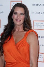 Brooke Shields - The Tribeca Ball in NYC 04/08/2019
