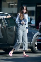 Dakota Johnson - Heads to Trader Joe