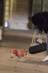 Katharine McPhee - Walking Her Dog in London 04/18/2019