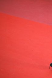 Anja Rubik – “Dolor y Gloria” Red Carpet at Cannes Film Festival