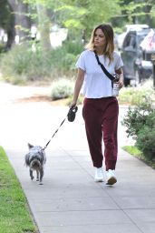 Rachel Bilson - Walking Her Dog in LA 07/08/2019