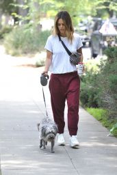 Rachel Bilson - Walking Her Dog in LA 07/08/2019
