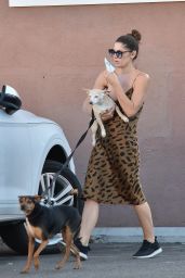 Ashley Greene - Walking Her Dogs in Studio City 08/05/2019