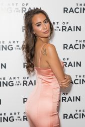 Nabila Badda – “The Art of Racing In The Rain” Premiere in LA