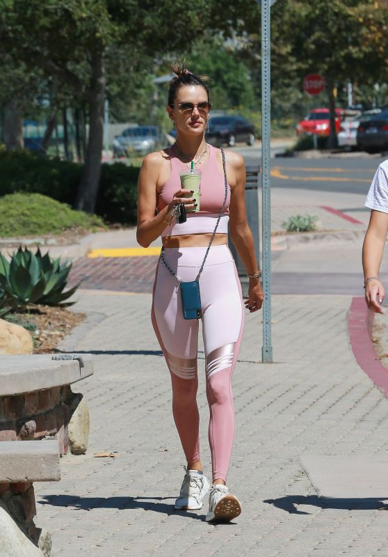 Alessandra Ambrosio in a Pink Gym Outfit in Los Angeles 09/04/2019
