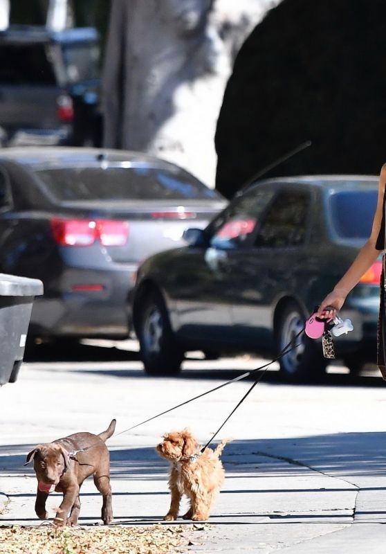 Alessandra Ambrosio - Out Walking Her Dogs in Brentwood 10/21/2019