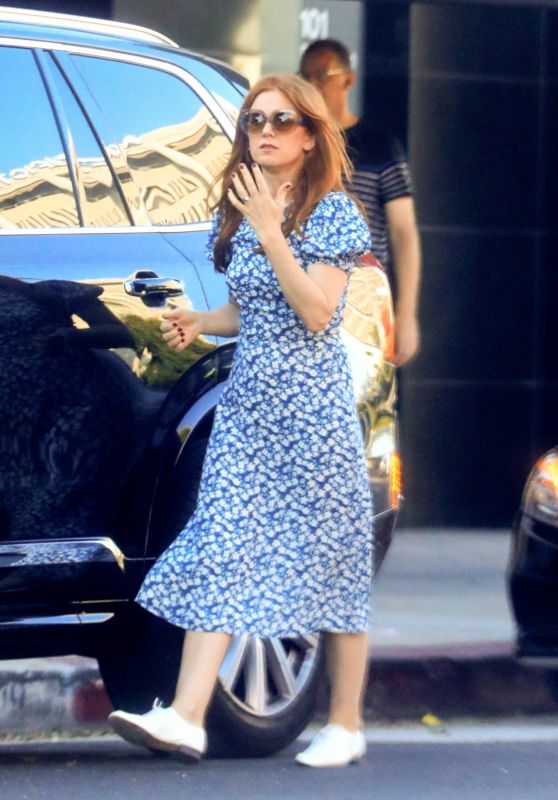 Isla Fisher - Shopping in West Hollywood 10/21/2019