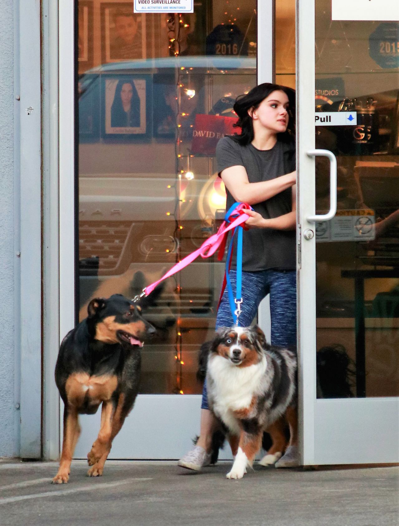 Ariel Winter Casual Style - Taking Her Four Dogs to the Groomers in LA