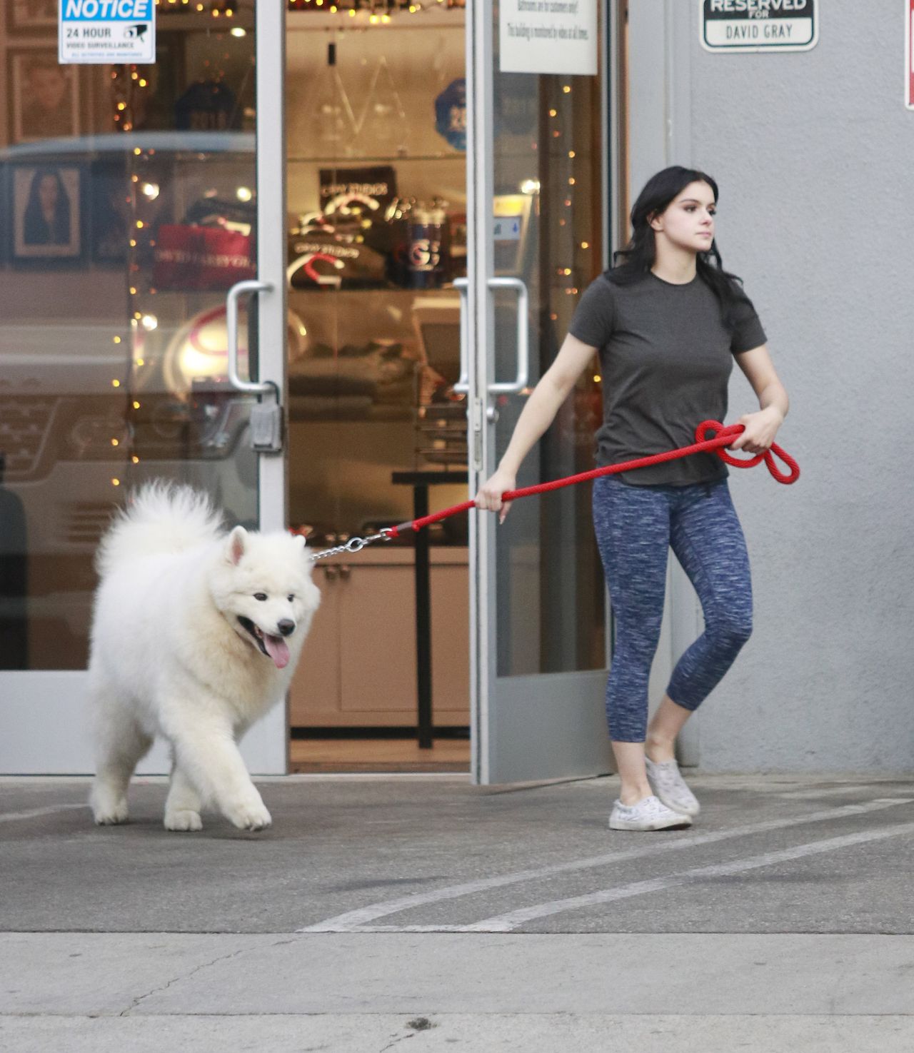 Ariel Winter Casual Style - Taking Her Four Dogs to the Groomers in LA