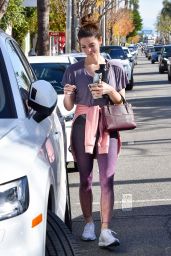 Ashley Greene - Out in Studio City 12/20/2019