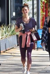Ashley Greene - Out in Studio City 12/20/2019