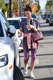 Ashley Greene - Out in Studio City 12/20/2019