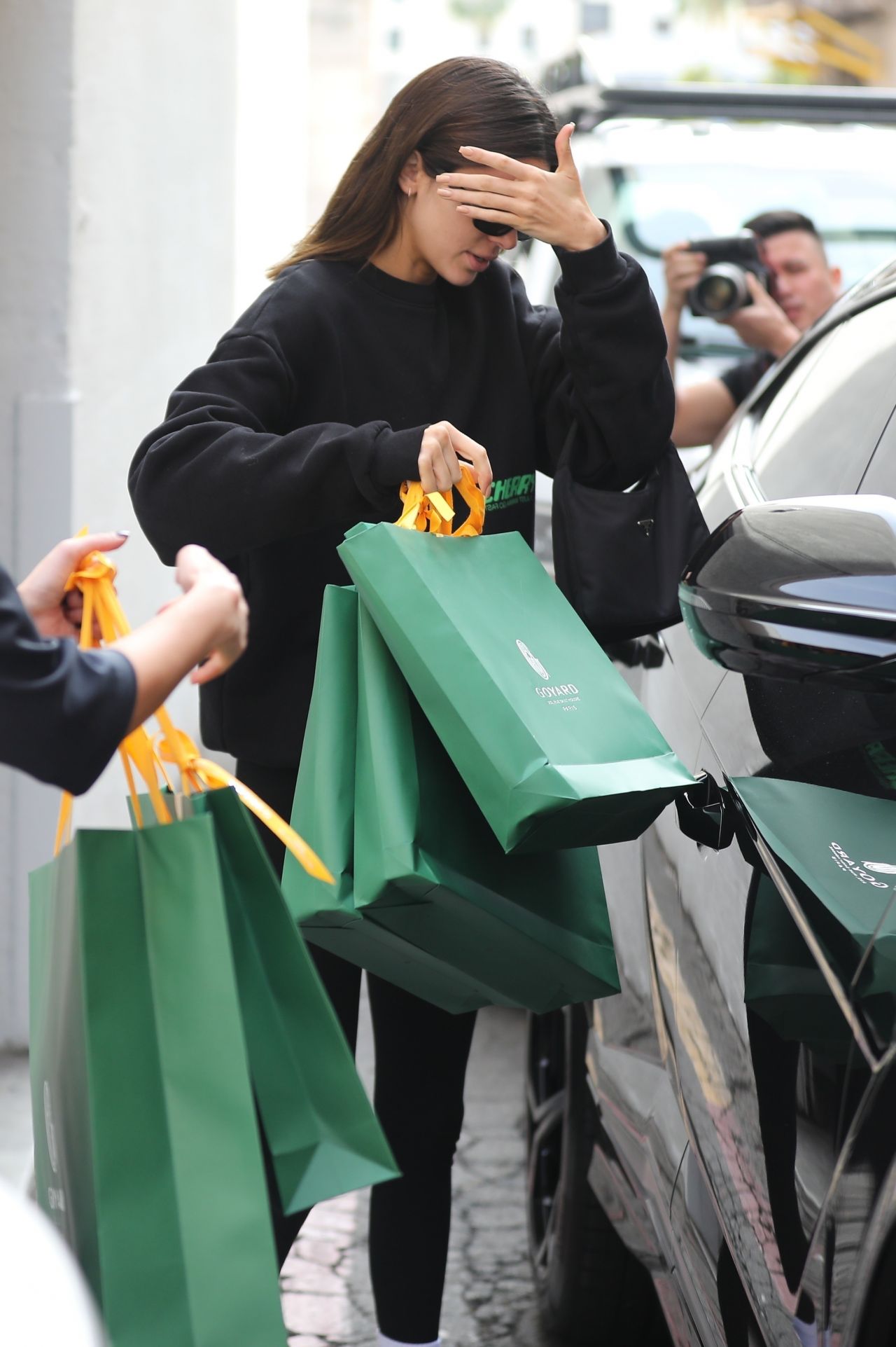 Kendall Jenner Goes Luxury Holiday Shopping at Goyard