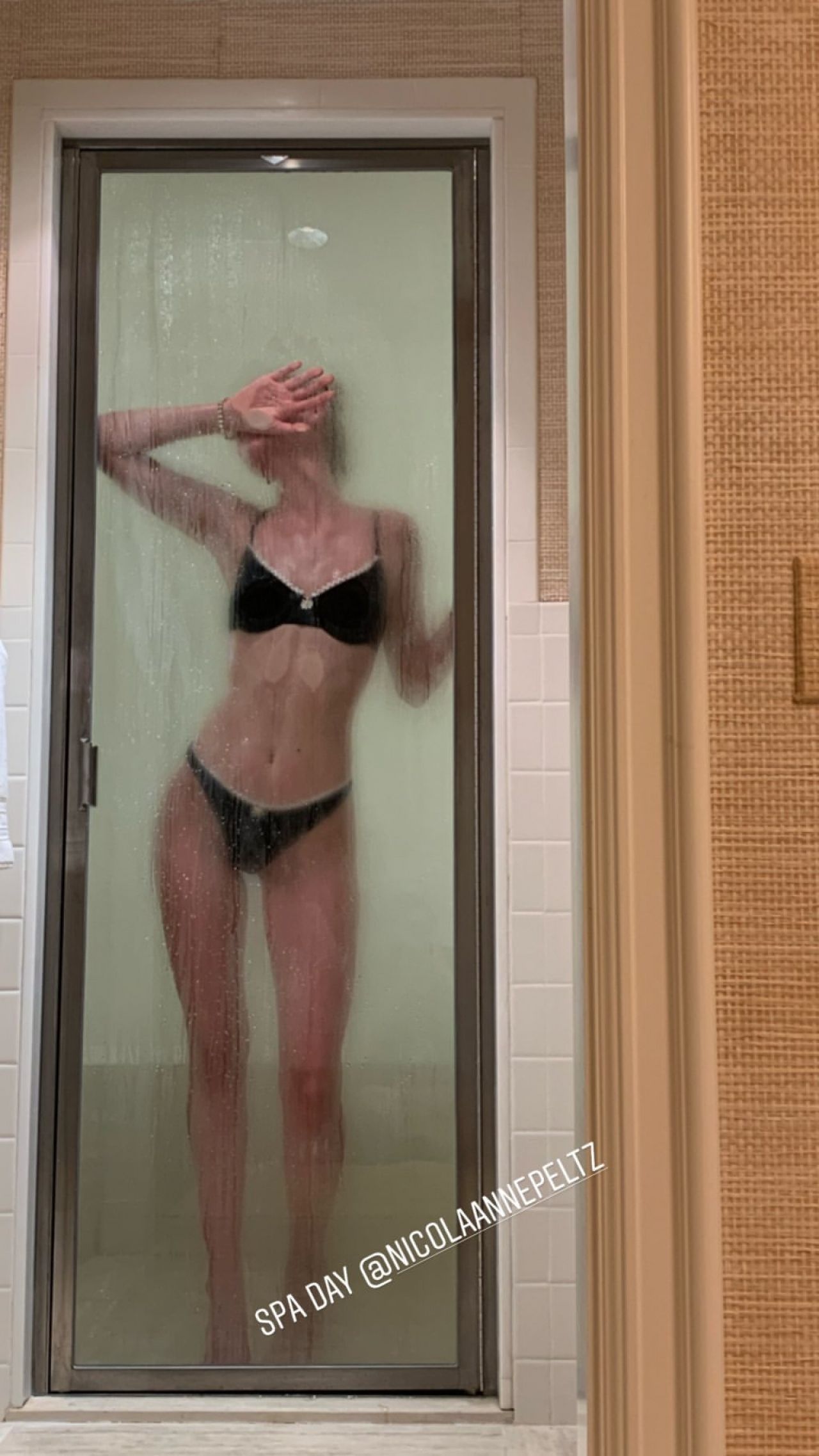 Nicola peltz bikini