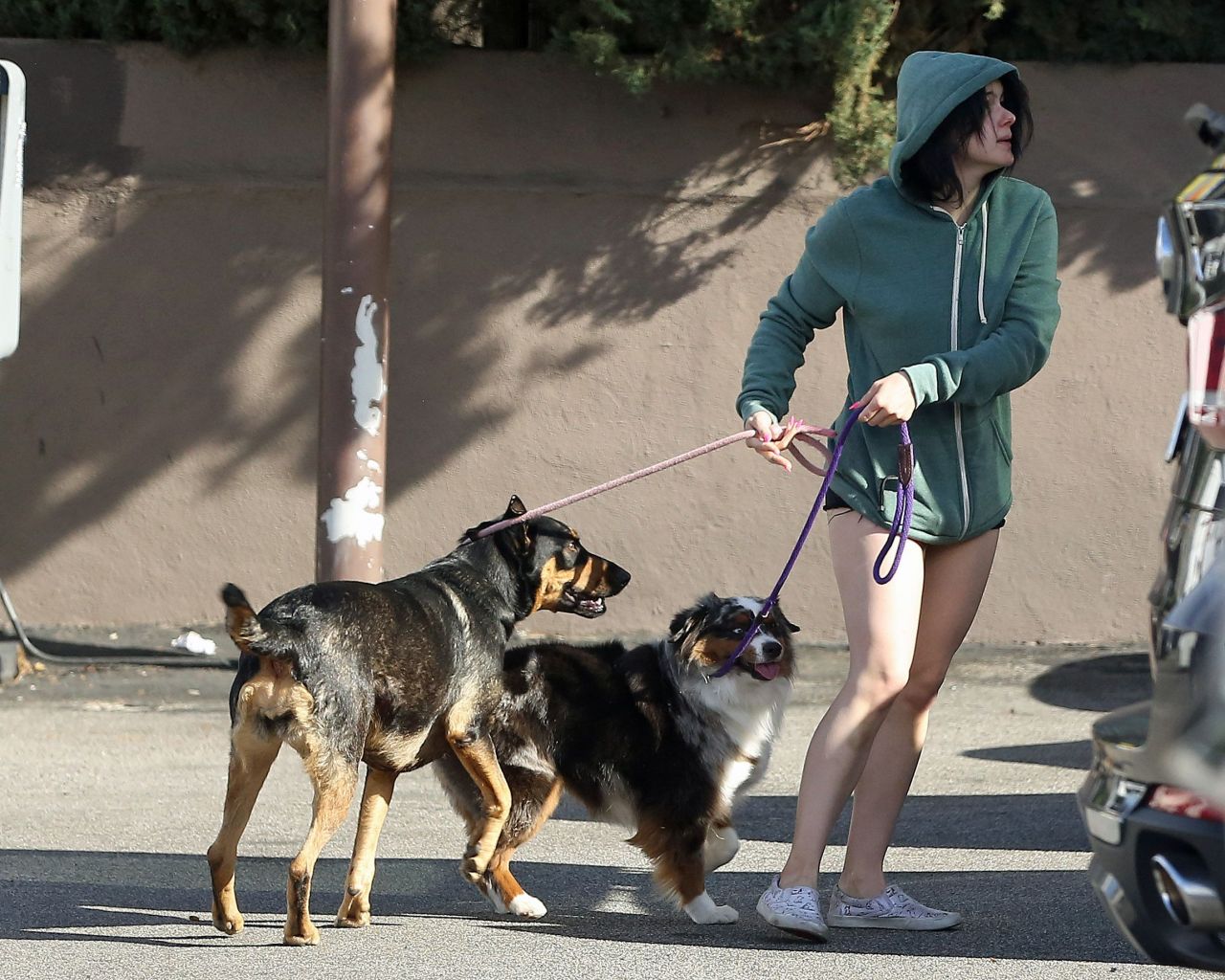 Ariel Winter - Walking Her Dog in LA 01/18/2020 • CelebMafia