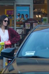 Rachel Bilson and Bill Hader - Out in LA 12/31/2019