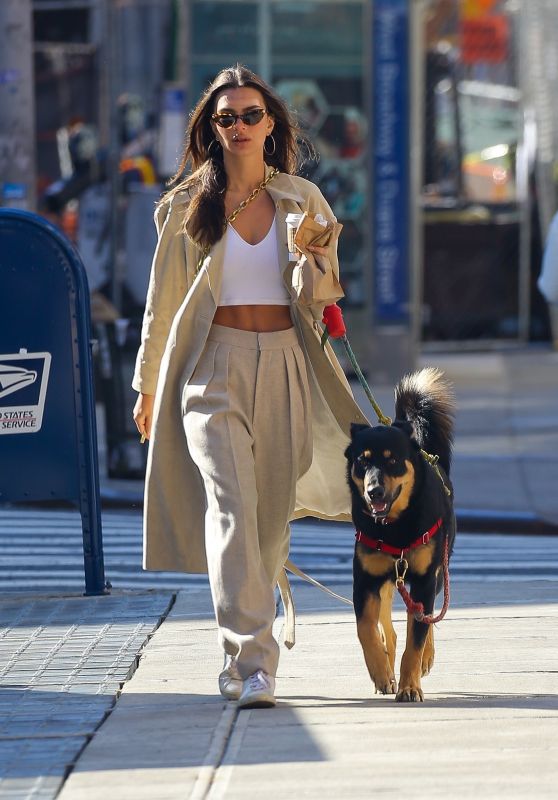 Emily Ratajkowski - Walking Her Dog in NY 02/17/2020
