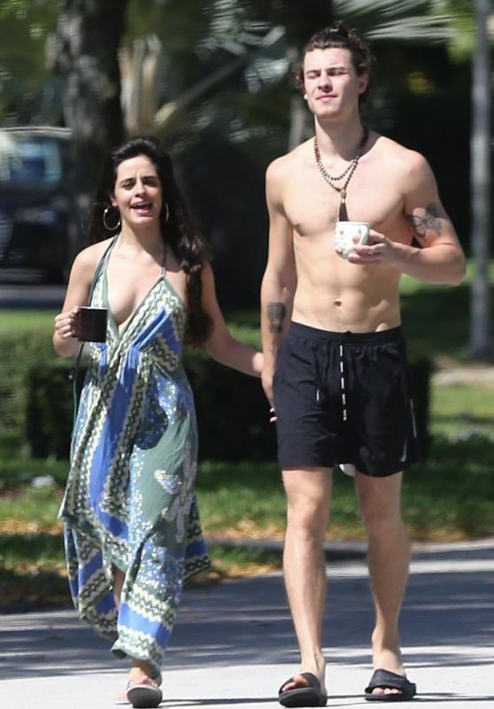 Camila Cabello and Shawn Mendes - Out in LA 03/21/2020