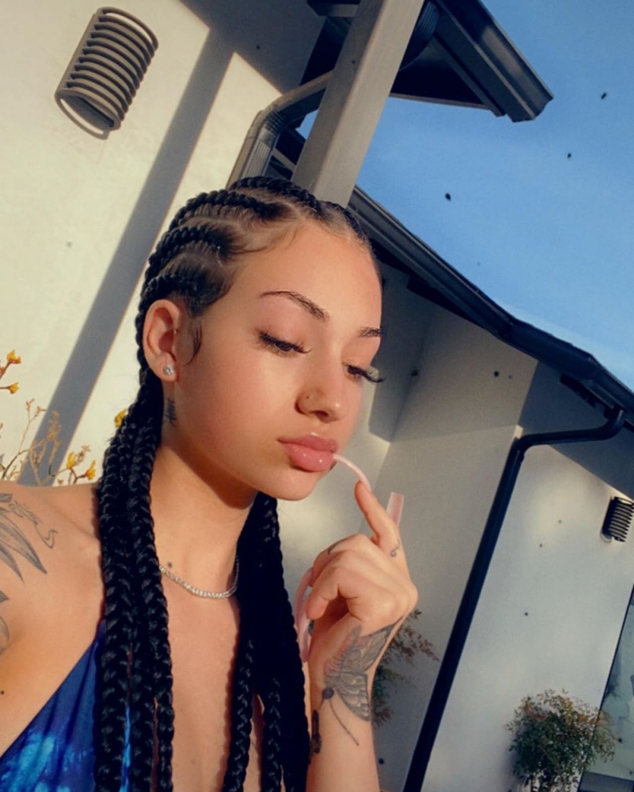 Danielle bregoli live streams