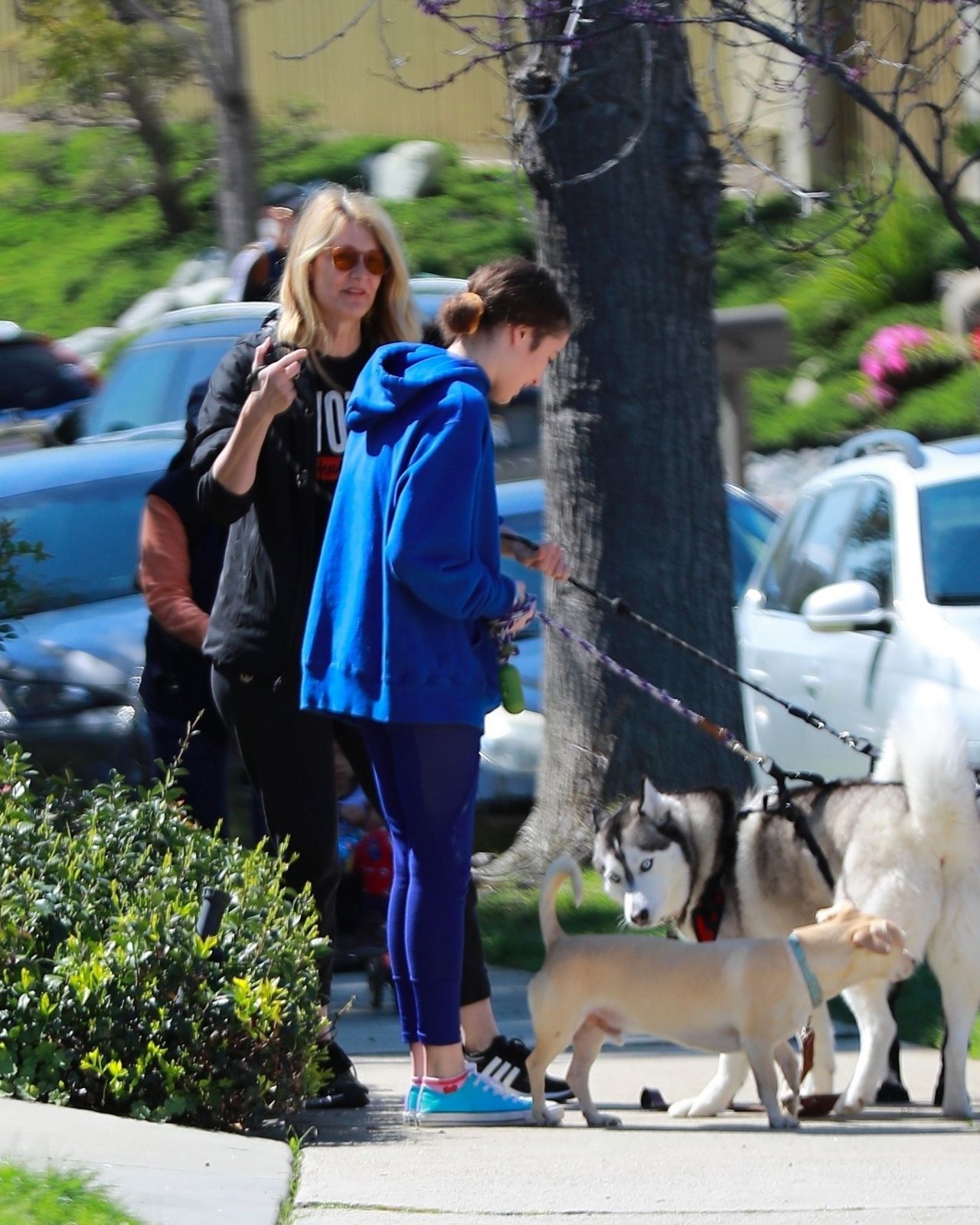 Laura Dern - Out in LA 03/21/2020 • CelebMafia