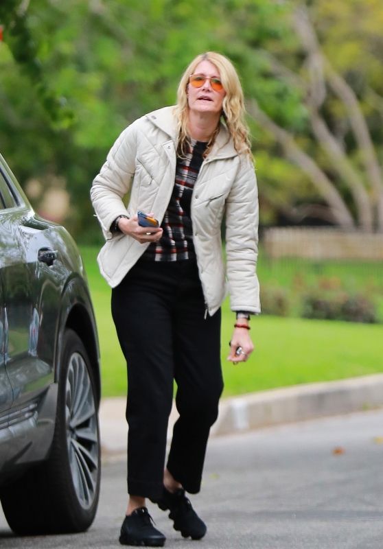 Laura Dern - Visit Her Friend Reese Witherspoon in LA 03/22/2020