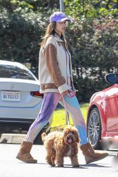 Alessandra Ambrosio - Walking Her Dog in LA 04/12/2020