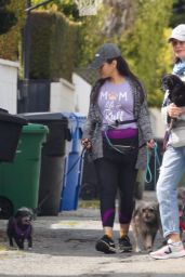 Calista Flockhart - Walking Her Dogs in LA 04/03/2020