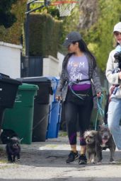 Calista Flockhart - Walking Her Dogs in LA 04/03/2020