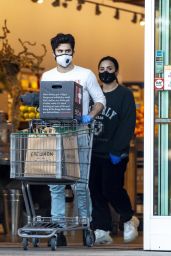Demi Lovato - Grocery Shopping in LA 04/04/2020