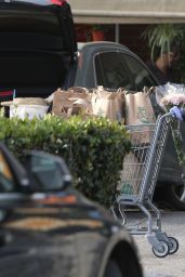 Diane Kruger - Gets Groceries in LA 04/05/2020