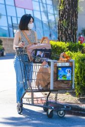 Lucy Hale - Grocery Shopping in LA 04/16/2020