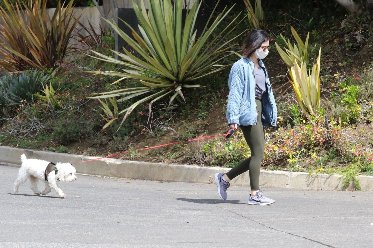 Lucy Hale - Walking Her Dog Elvis in Studio City 04/13/2020 • CelebMafia