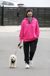 Lucy Hale - Walking Her Dog in Studio City 04/12/2020