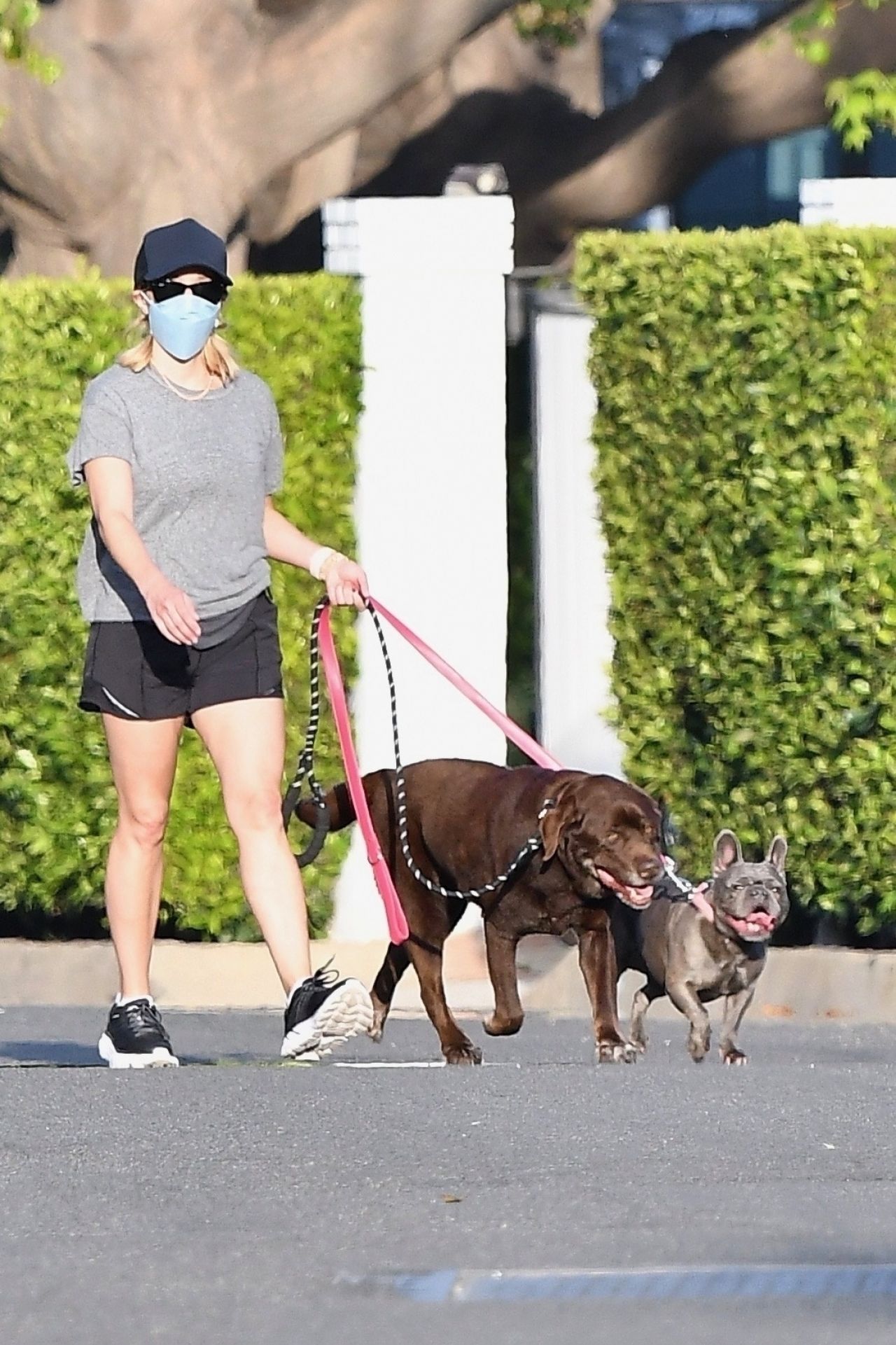 Reese Witherspoon - Takes Her Dogs For a Walk in Brentwood 04/27/2020 ...