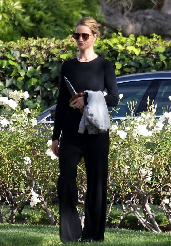 Rosie Huntington-Whiteley – Out in Beverly Hills 04/20/2020