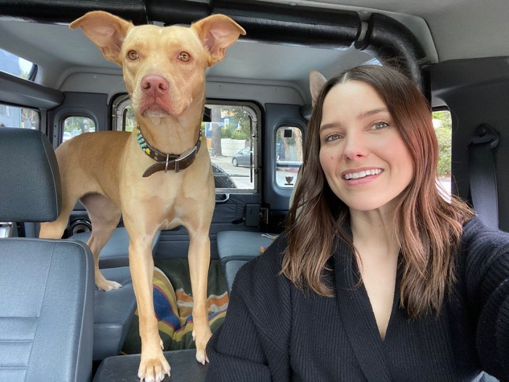 Sophia Bush - Social Media 04/30/2020 • CelebMafia