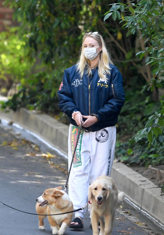 Sophie Turner Shows Her Growing Bump - Walking Her Dogs in LA 04/17/2020