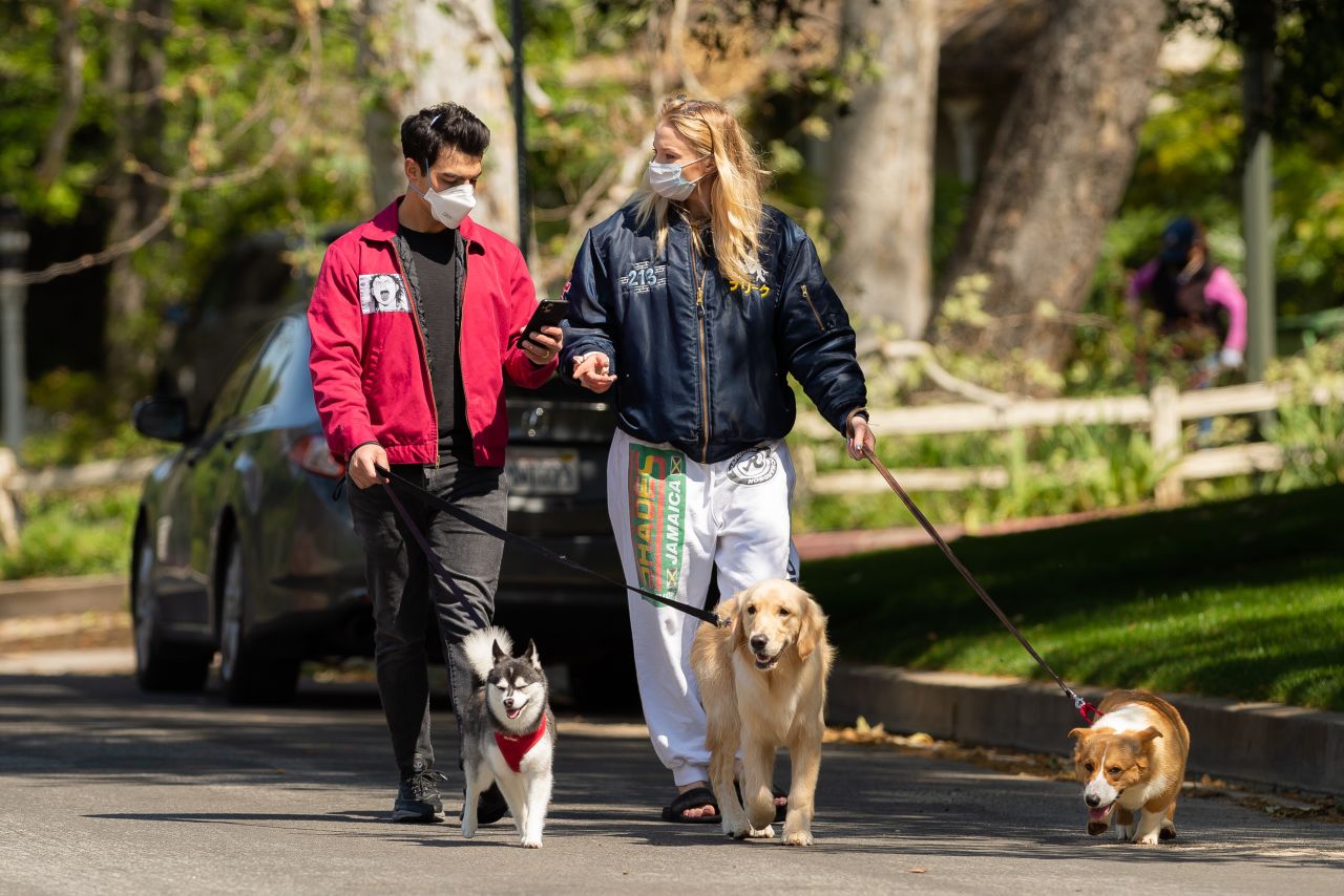 Sophie Turner Shows Her Growing Bump - Walking Her Dogs in LA 04/17 ...