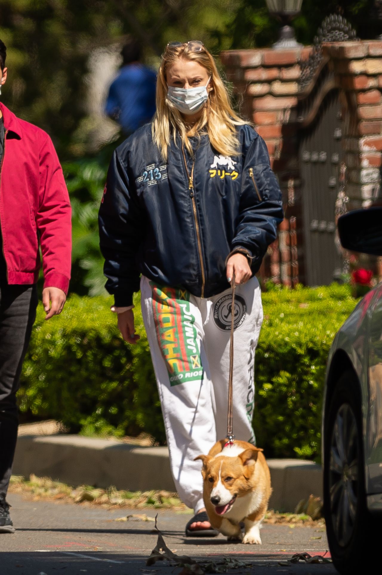 Sophie Turner Shows Her Growing Bump - Walking Her Dogs in LA 04/17