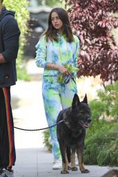 Ana De Armas and Ben Affleck - Taking Their Dogs for a Stroll in Venice 05/27/2020