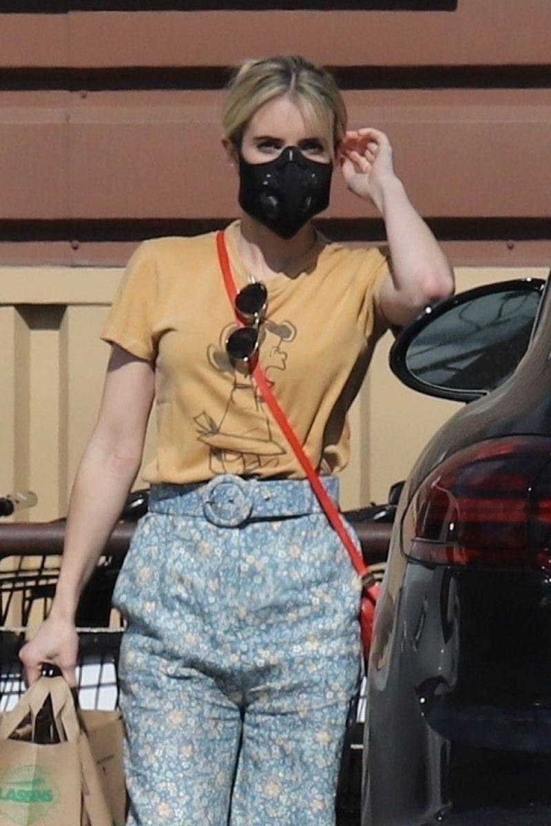 Emma Roberts - Grocery Shopping in LA 05/12/2020 • CelebMafia