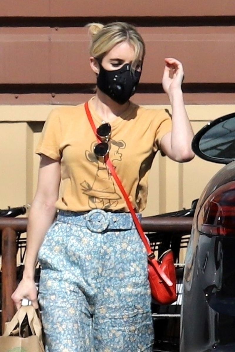 Emma Roberts - Grocery Shopping in LA 05/12/2020 • CelebMafia