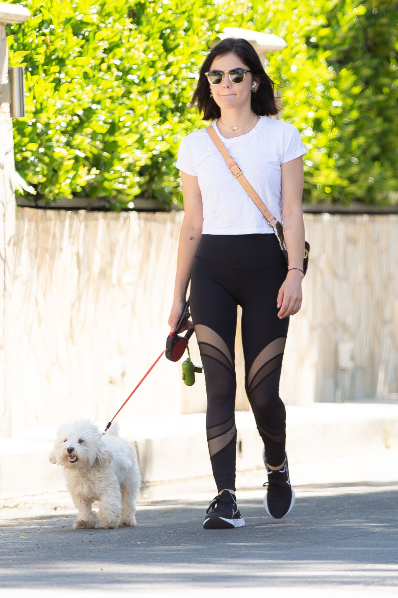 Lucy Hale - Walking Her Dog in LA 05/06/2020 • CelebMafia