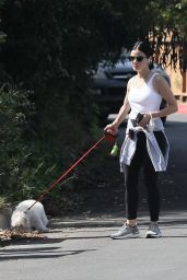 Lucy Hale - Walking Her Dog in Studio City 05/17/2020