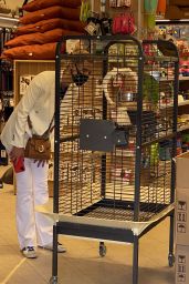 Michelle Hunziker and Tomaso Trussardi Shopping at Pet Shop and at Trussardi Outlet in Bergamo