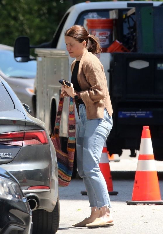 Sophia Bush - Out in Beverly Hills 05/14/2020