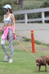 Alessandra Ambrosio in a Grey Patterned Sports Bra and Matching High-Waisted Leggings - Pacific Palisades 06/02/2020